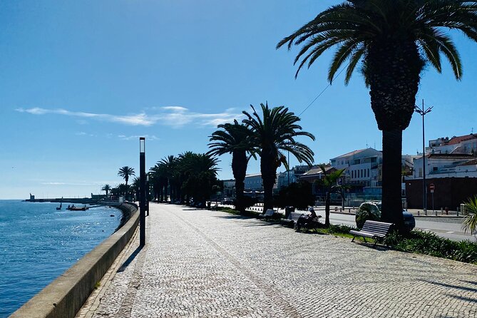 Algarve: Lagos Sightseeing Guided Tour With E-Bikes - Inclusions and Exclusions