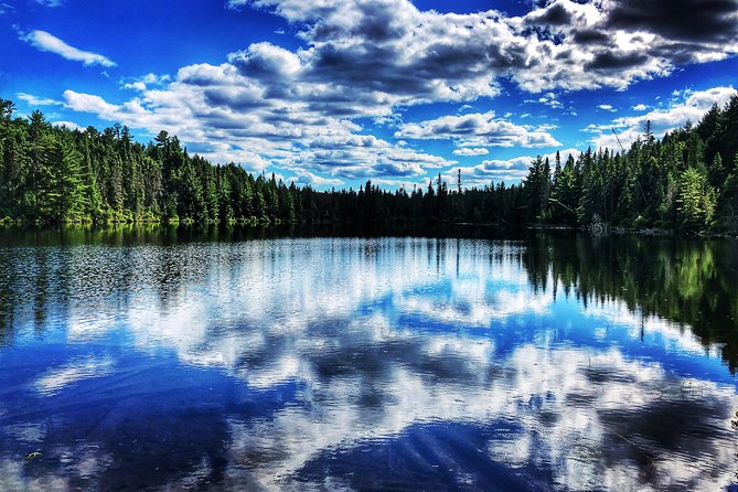 Algonquin Provincial Park Day Tour From Toronto - Meeting and Pickup Details