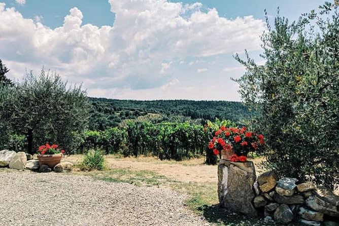 Amazing Lunch in Organic Farm With Balsamic Vinegar Olive Oil Truffle and Wine Tasting Experience in Tuscany - Tour Overview