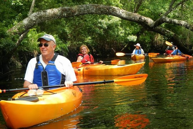 Amelia Island Area Kayak Rental on Lofton Creek With Adventures up the Creek - Kayak Rental Overview