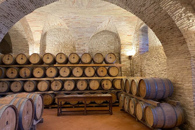 Among Ancient Sunny Vineyards, Visit and Taste the Wines From the San Lorenzo Cellar