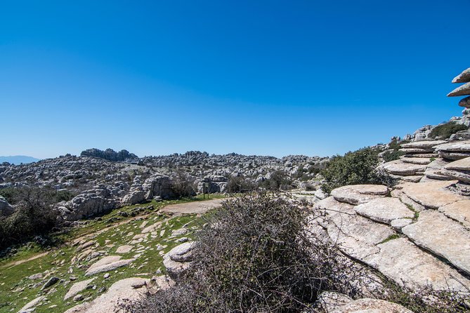 Antequera and Torcal From Granada Review