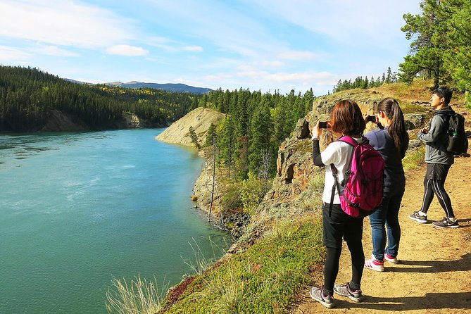 Arctic Day: Hiking Tour | Half Day