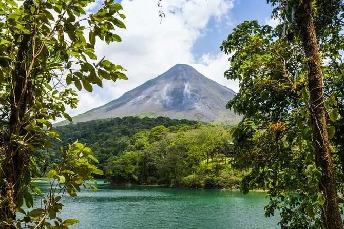 Arenal La Fortuna Tour: Park + Hanging Bridges + Thermal Waters