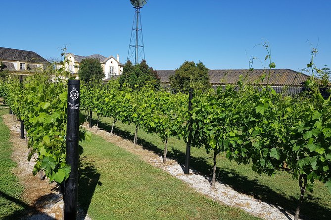 Arrábida Culture, Wine and Gastronomic Experience
