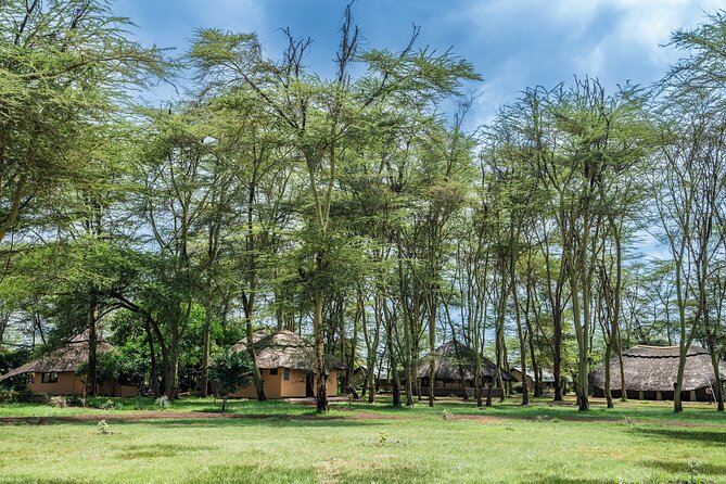 Arusha: 5 Days Safari Trip Tarangire, Lake Manyara and Ngorongoro