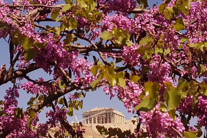 Athens to Nafplio Private Transfer - Booking Details