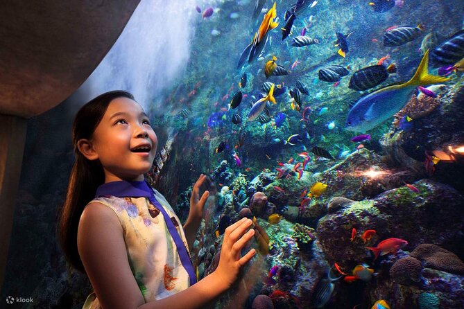 Atlantis Lost Chamber Aquarium