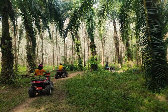 ATV Jungle Adventure in Krabi With Roundtrip Transfer - Whats Included in the Tour