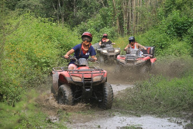 ATV or RZR- Escape to the Mountains for 4 Hours