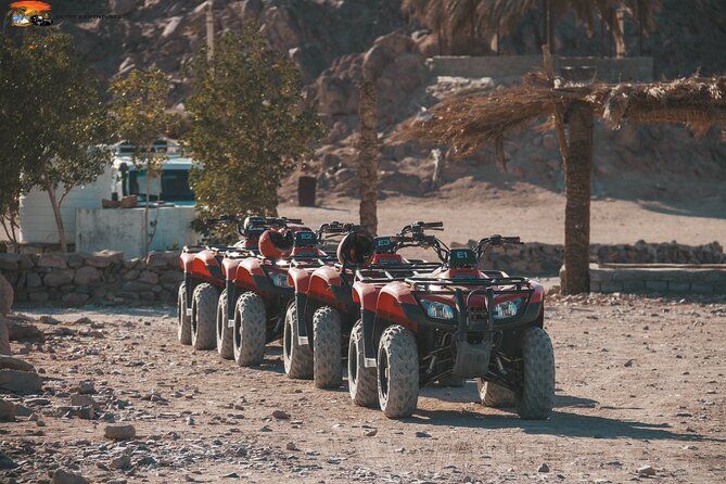 ATV Quad Safari, Camel Ride, Dinner & Party From Sharm El-Sheikh - Excursion Highlights