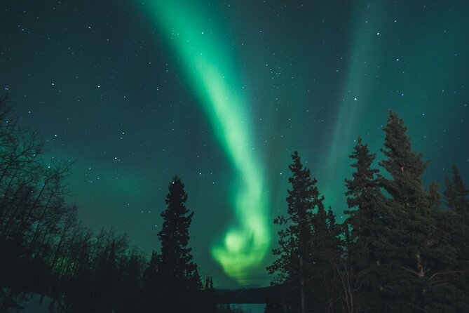 Aurora Borealis Quest: Private Yukon Nighttime Tour