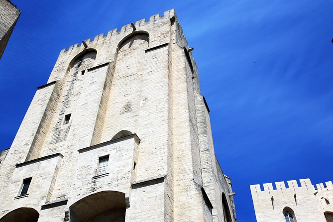 Avignons History, Local Culture & the Wines of Châteauneuf Du Pape Private Tour
