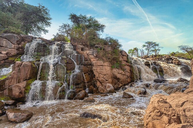 Awash National Park Tours