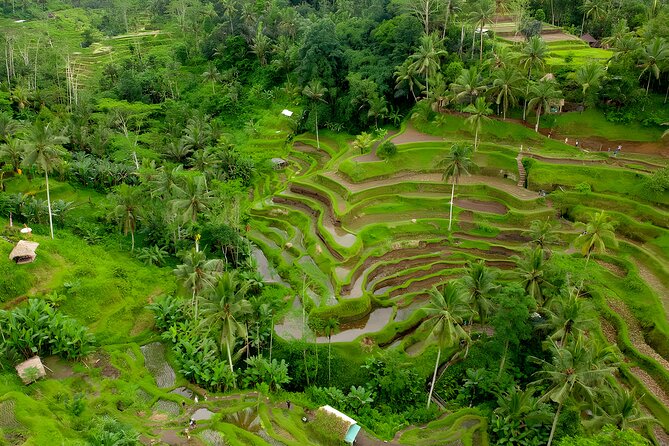 Ayung White Water Rafting and Ubud Art Village Tour