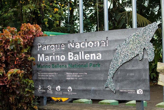Bahia Ballena Whale and Dolphin Tour – Morning