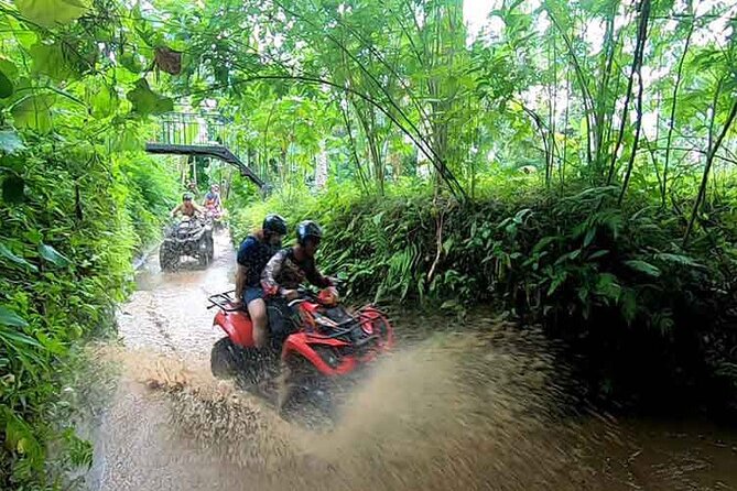 Bali ATV Quad Bike Adventure With Ubud Swing and Monkey Forest - Adventure Overview