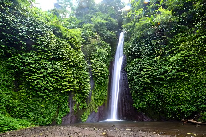 Bali Car-Charter: Amazing North Bali Tour