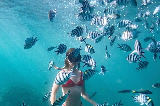 Bali Experience Blue Lagoon Snorkeling and Hidden Waterfall