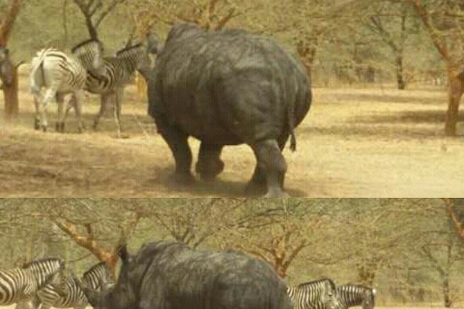 Bandia Wildlife Reserve Private- Minimun 2 People to Book It
