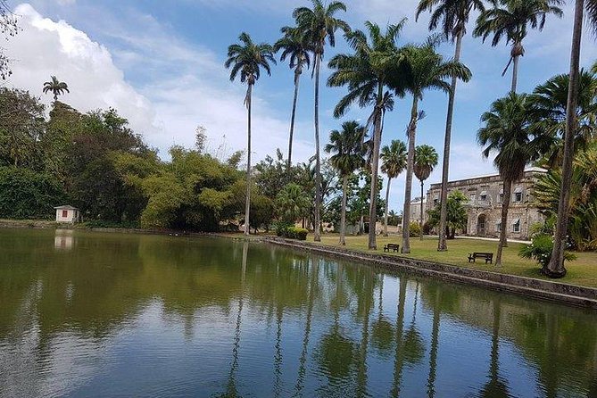 Barbados Amazing Full Day Private Rural Excursion