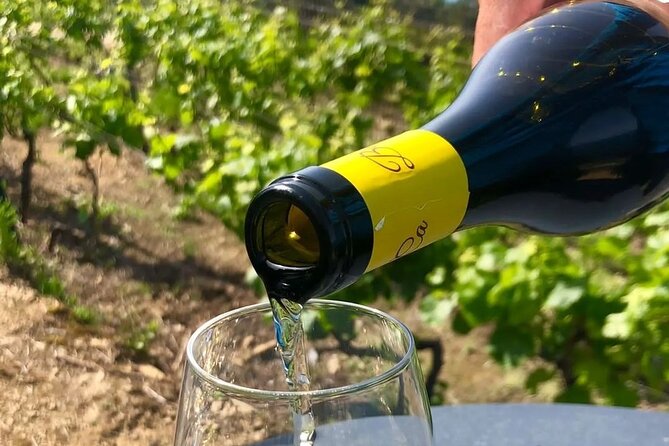 BarCa Winery Cinqueterre Trekking & Wine Tasting & Pesto Class