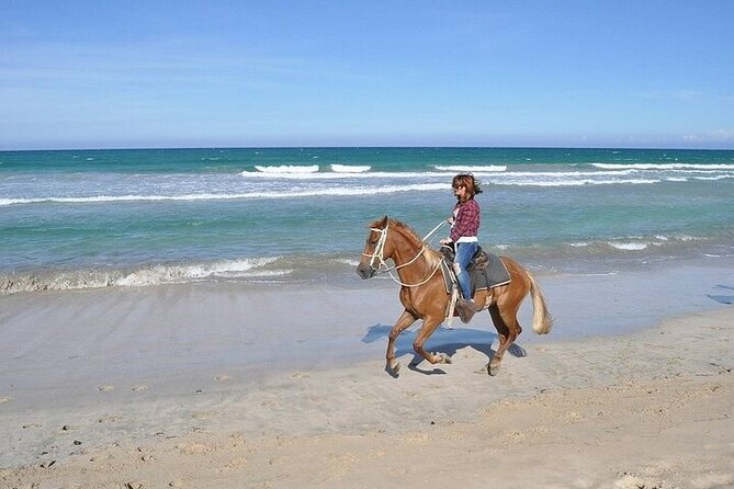 Beach Horse Ride Punta Cana – El Limon & La Sabana De Nisibon