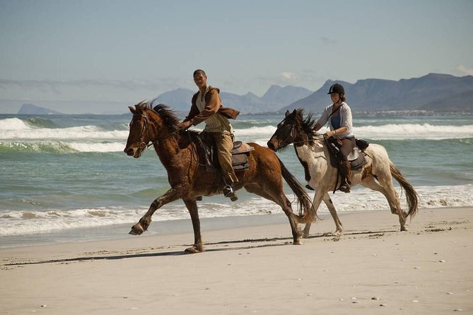 Beach Ride – Stanford