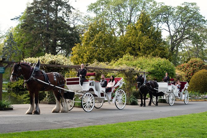 Beacon Hill Park Horse-Drawn Carriage Experience in Victoria - Tour Highlights