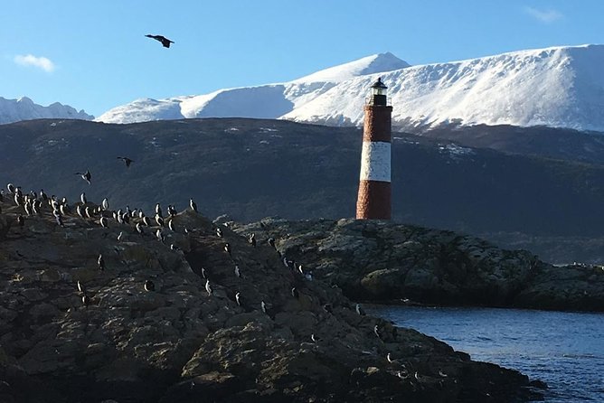 Beagle Channel Navigation Adventure: Penguin Watching Experience - Highlights of the Journey