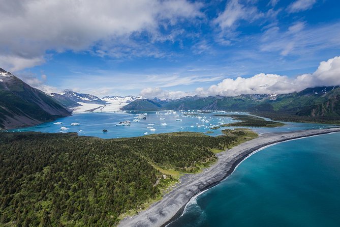 Bear Glacier Scenic Flight