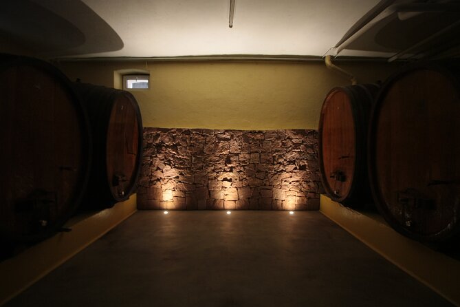 Become a Winemaker for a Day!