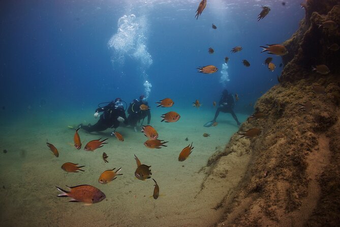 Beginner Dive From Playa Chica With Instructor