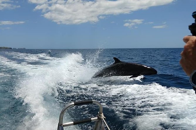 Beginner Diving Lesson (2 Days) With Two Tank Dives in Guanacaste