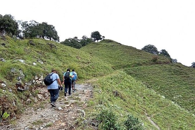 Benog Tibba Nature Trail