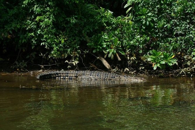 Bentota River Boat Safari With Private Boat Beruwala/Bentota/Kosgoda/Ahungalla