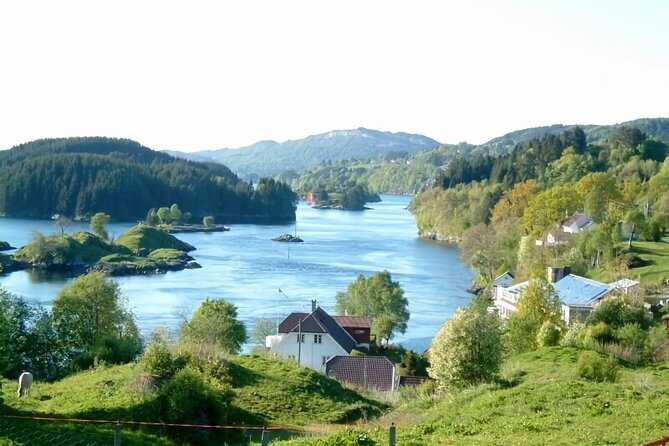 Bergen Fjord Cruise to Alversund Streams Review