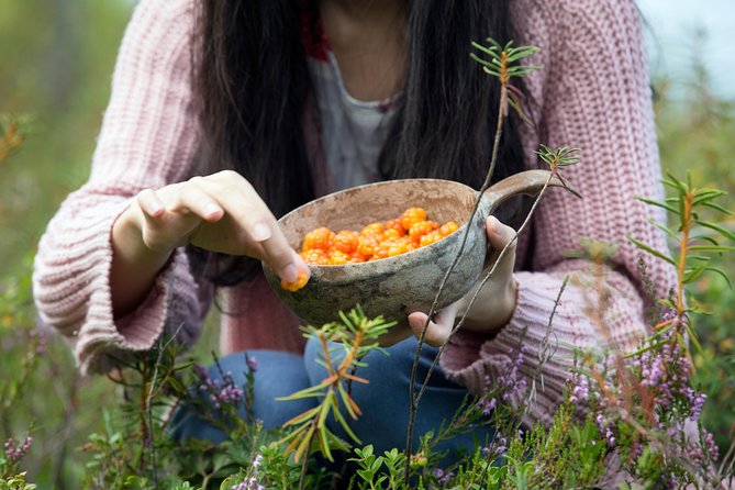 Berry Nice Day – Berry Picking and Juice Making in Rovaniemi