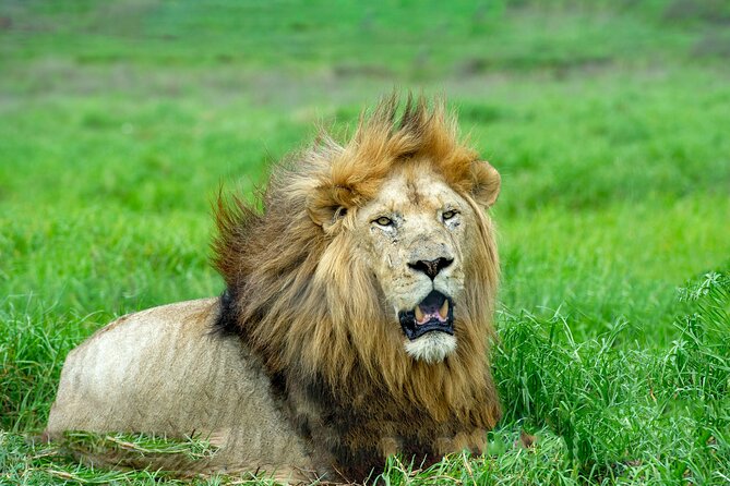Best 7 Day 6-Night Tanzania Big Five Midrange Private Safari - Accommodation Details