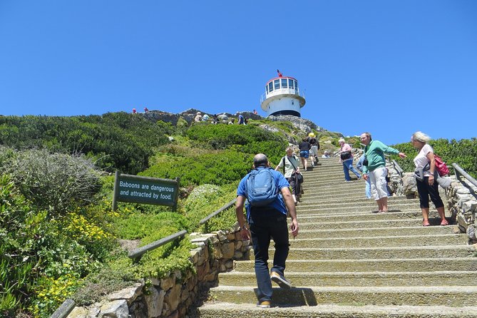 Best of the Cape (Cape Point & Winelands)