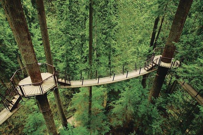 Best of Vancouver Highlights /Suspension Bridge/ Free Pizza Party Tour Private