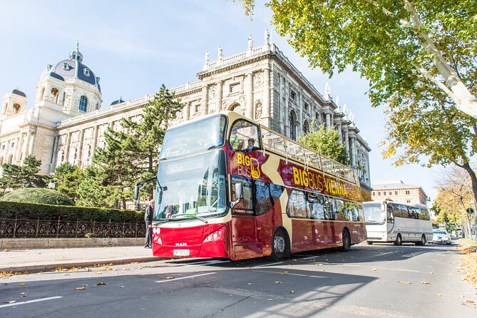 Best of Vienna Pass: Schönbrunn, Belvedere, Big Bus & Cruise