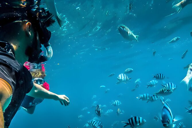 Best Snorkeling Activity in Blue Lagoon Beach Bali