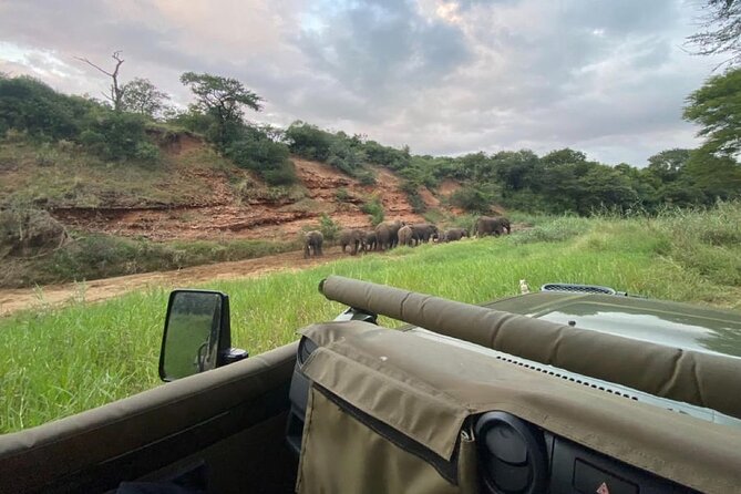 Big 5 Luxury Safari at Manyoni Private Game Reserve + Binoculars