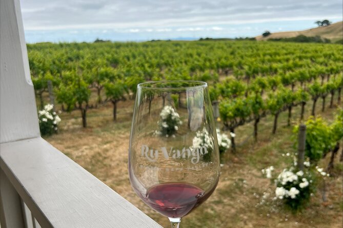 Big Bus San Francisco: Napa and Sonoma Valley Wine Tour