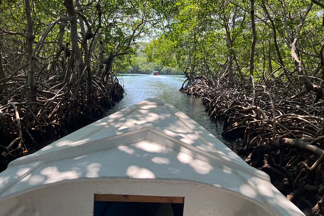 Big Daddy Private Tour Roatan Island in Honduras