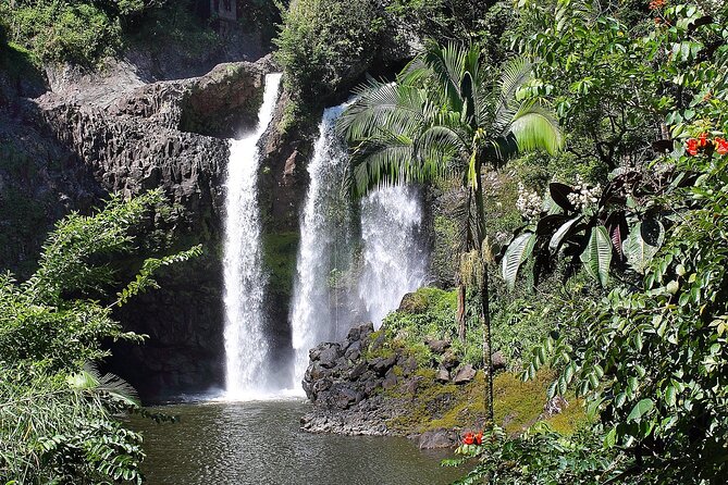 Big Island Waterfall Hiking With Hilo Cruise Ship Pickup