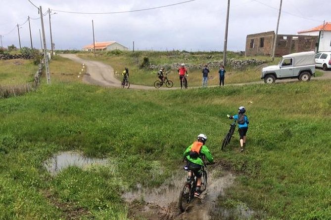 Bike Rental