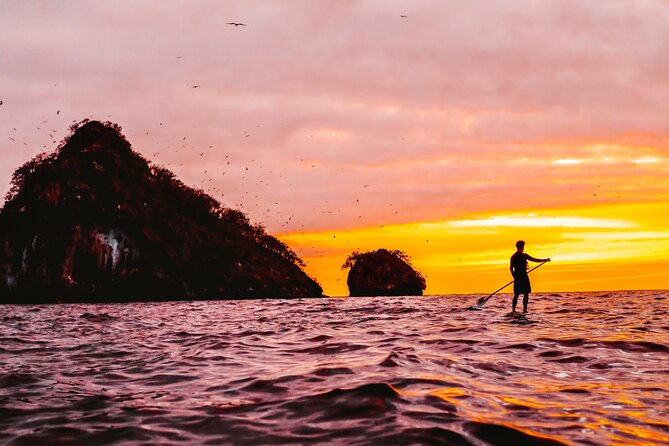 Bioluminescence by Kayak or SUP to Los Arcos Puerto Vallarta - Tour Overview and Highlights