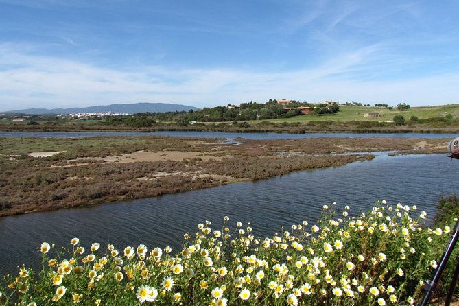 Birdwatching at Ria De Alvor